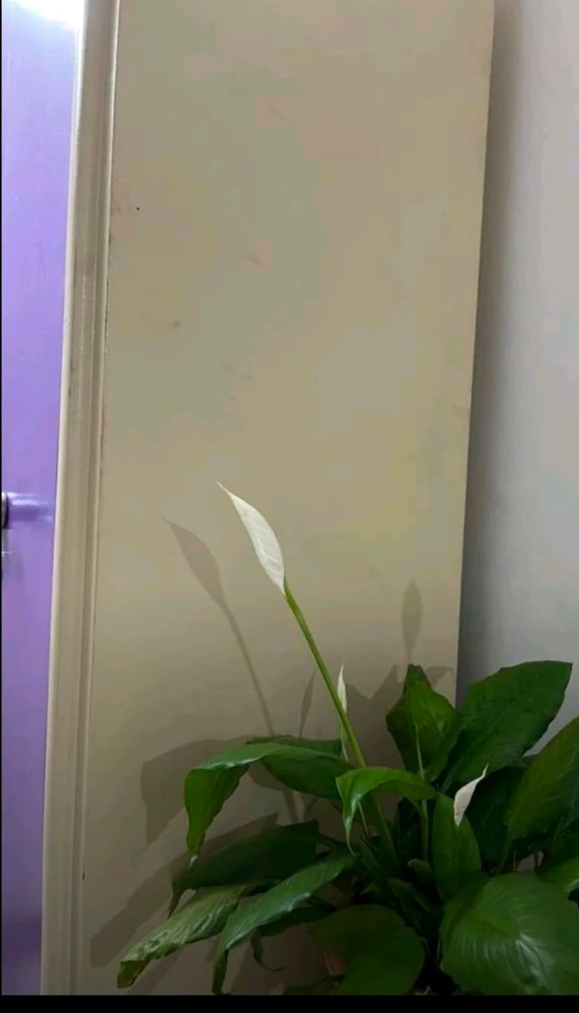Spacious 2BHK Apartment in Gandharpur, Bhubaneswar