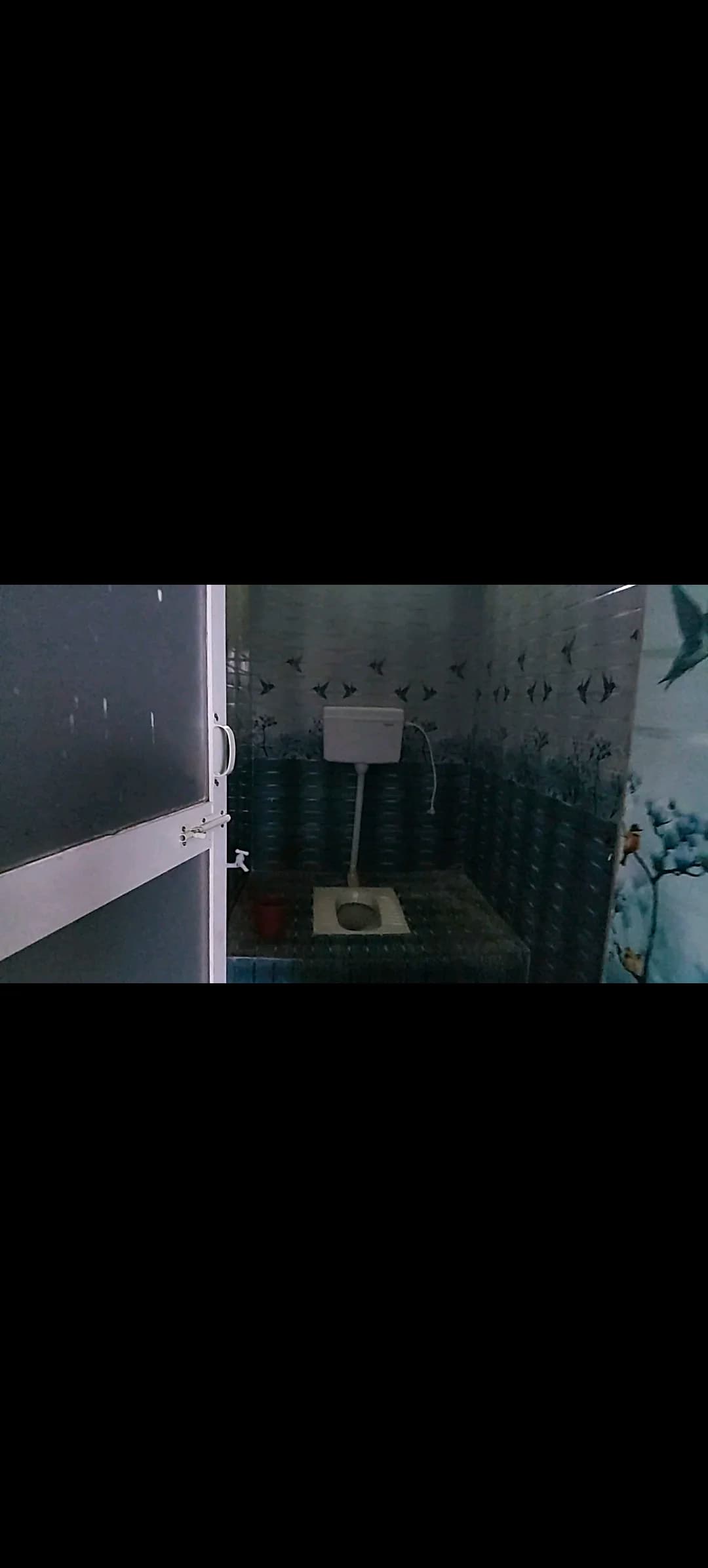 Shared Flatmate / Room in Ahirtoli